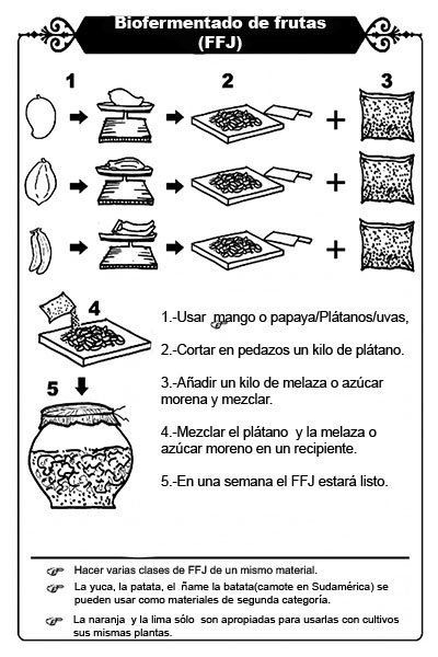 BioFermentado de frutas ffj mini tutorial en foto