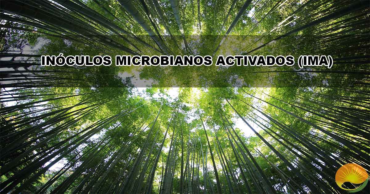 INÓCULOS MICROBIANOS ACTIVADOS (IMA)