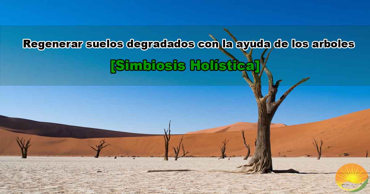 Regenerar Suelos Degradados Con Arboles【Simbiosis】