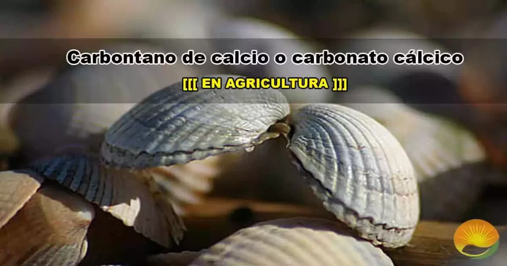 Carbonato de calcio o cal agrícola.