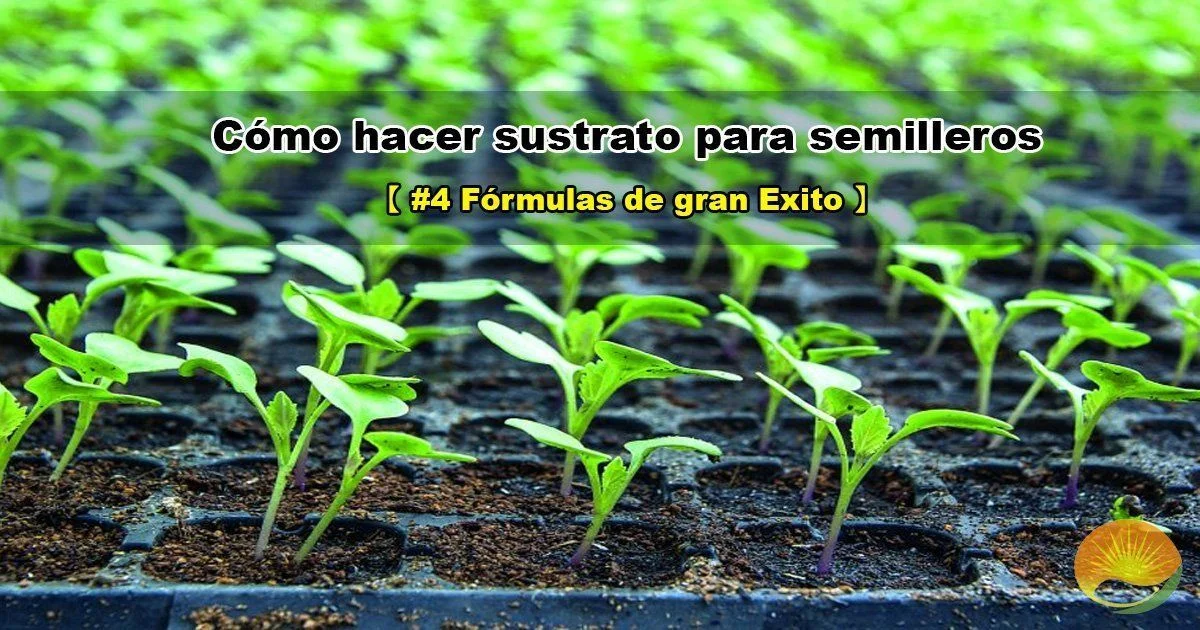 Plantawa Arlita Arcilla Expandida Sustrato 20L Abonos y Fertilizantes  Natural Alimento para Plantas