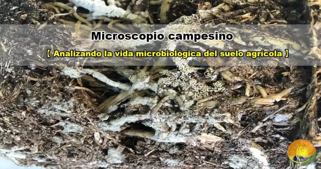 Microscopio campesino