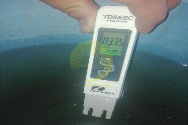 Temperatura del agua para la levaduras