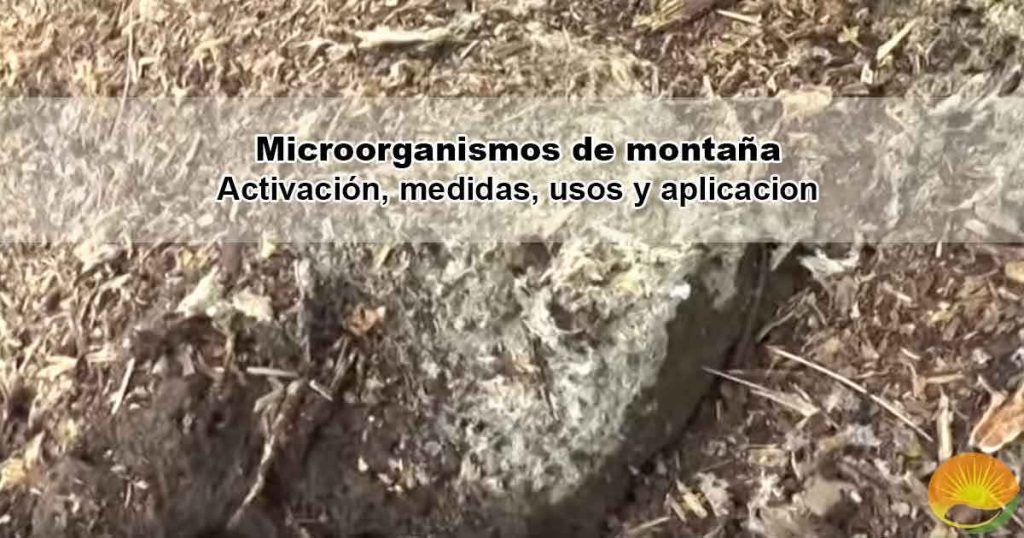 Microorganismos de montaña