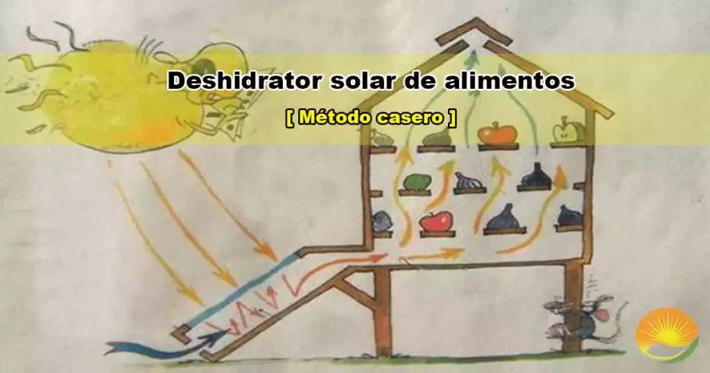 Deshidratador solar