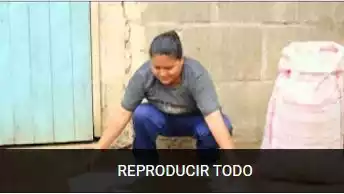 micorrizas youtube