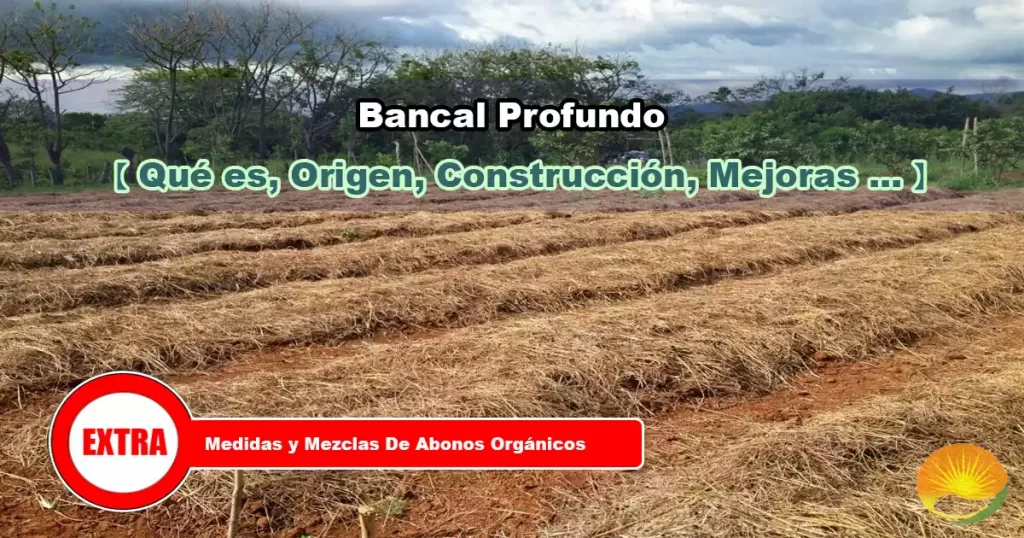 Bancal profundo